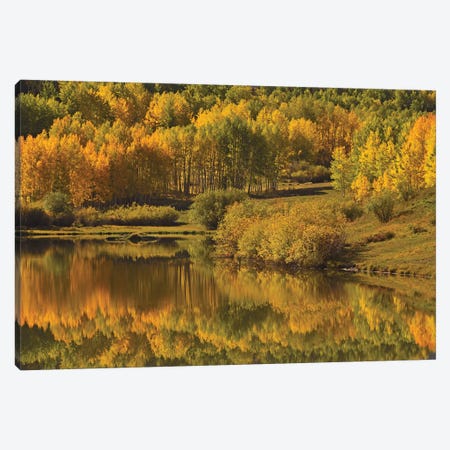 Aspen Reflections Canvas Print #BWF16} by Brian Wolf Canvas Print
