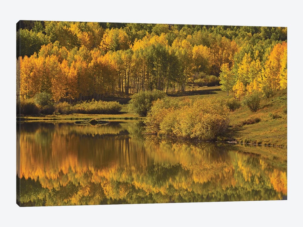 Aspen Reflections by Brian Wolf 1-piece Canvas Art Print