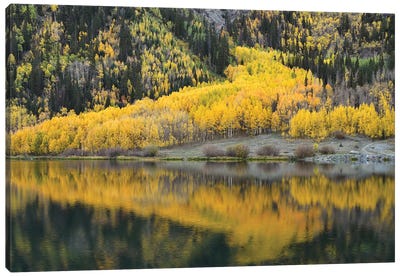 Aspen Reflections In Crystal Lake Canvas Art Print - Aspen Tree Art