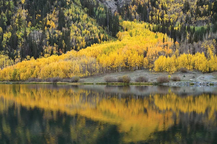 Aspen Reflections In Crystal Lake