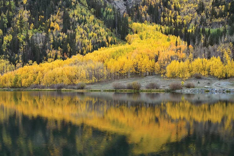 Aspen Reflections In Crystal Lake by Brian Wolf wall art