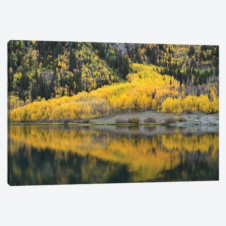 Aspen Reflections In Crystal Lake Canvas Print #BWF17} by Brian Wolf Canvas Art Print