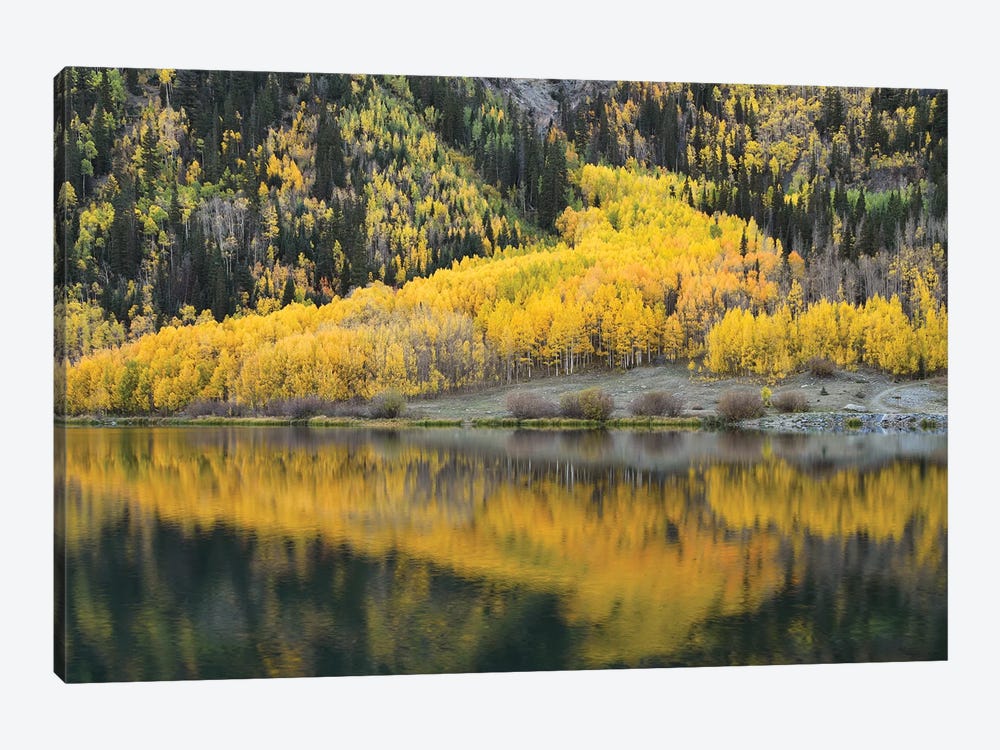 Aspen Reflections In Crystal Lake by Brian Wolf 1-piece Canvas Art