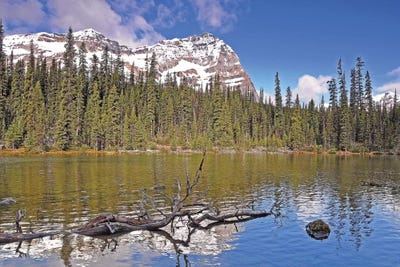 Little Lake O'Hara by Brian Wolf framed wall art