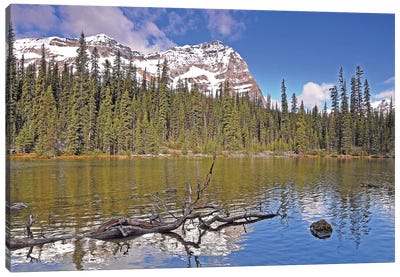 Little Lake O'Hara Canvas Art Print - British Columbia Art