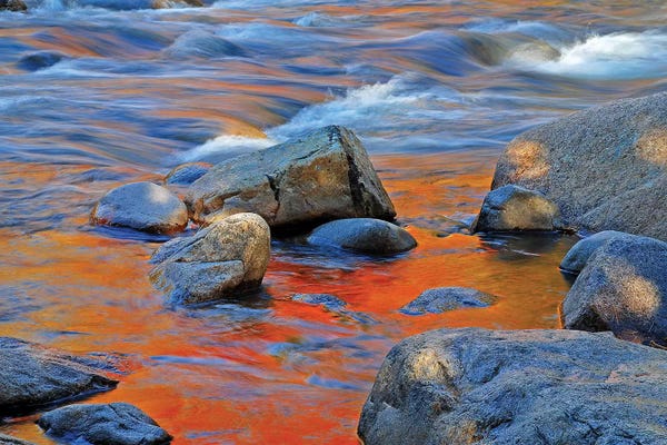 Rocky Beaches: Maple Reflections by Brian Wolf