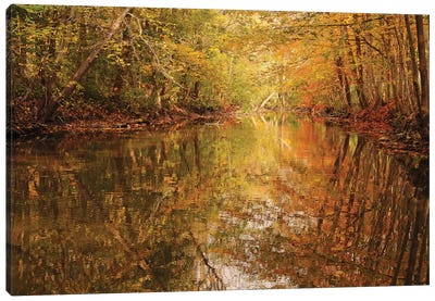 Monet Reflections Canvas Art Print - Brian Wolf