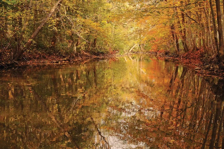 Monet Reflections by Brian Wolf wall art