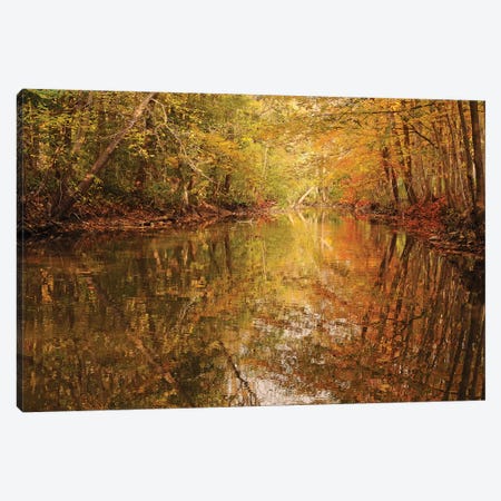 Monet Reflections Canvas Print #BWF202} by Brian Wolf Canvas Art