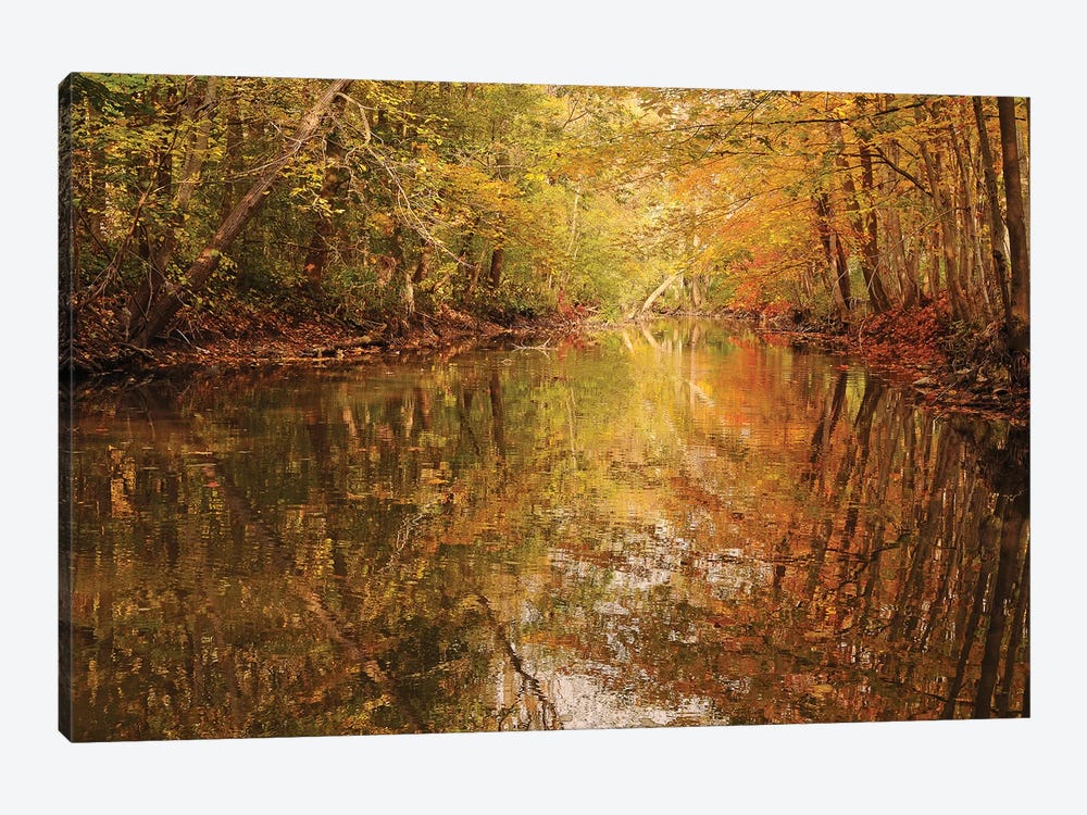 Monet Reflections by Brian Wolf 1-piece Canvas Artwork
