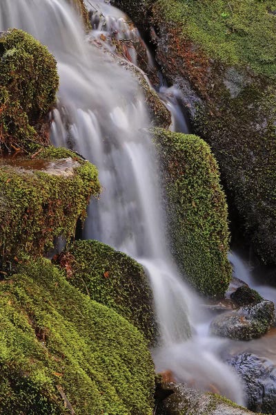 Mossy Waterfall by Brian Wolf art print