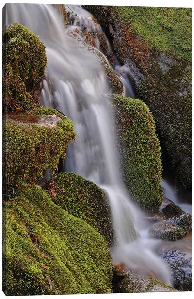 Mossy Waterfall Canvas Art Print - Brian Wolf