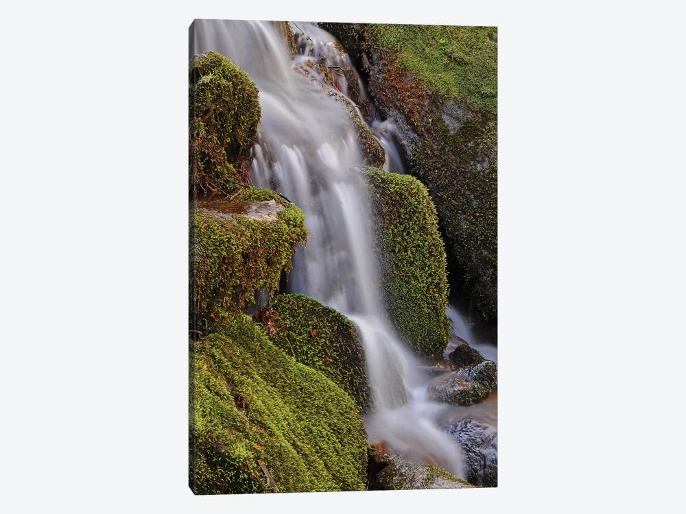 Mossy Waterfall by Brian Wolf 1-piece Canvas Artwork