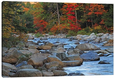 New Hampshire Stream Canvas Art Print - Rock Art