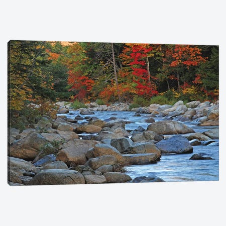 New Hampshire Stream Canvas Print #BWF225} by Brian Wolf Canvas Print
