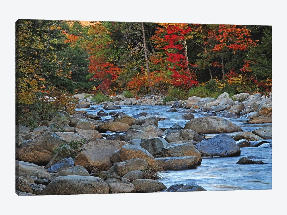 New Hampshire Stream by Brian Wolf 1-piece Canvas Art Print