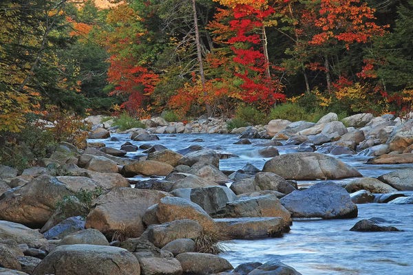 New Hampshire: New Hampshire Stream by Brian Wolf