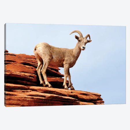 Out On A Ledge Canvas Print #BWF235} by Brian Wolf Canvas Artwork