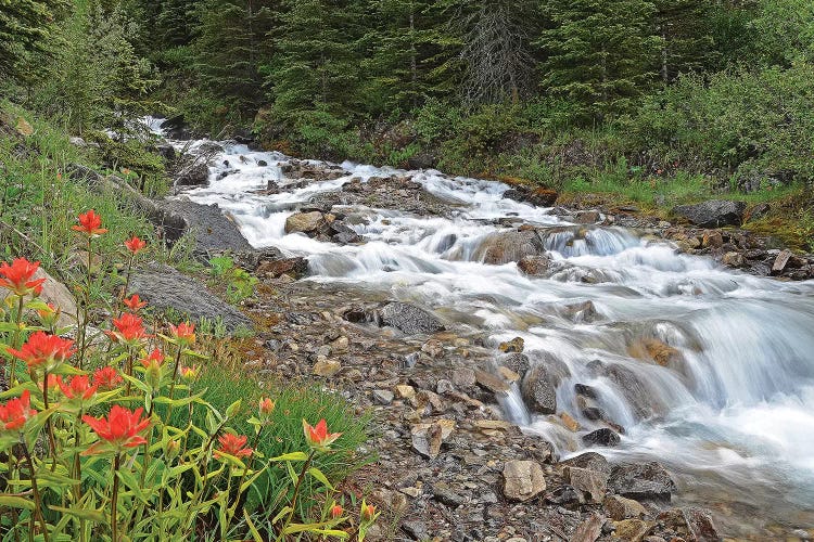 Paintbrush and Stream by Brian Wolf wall art