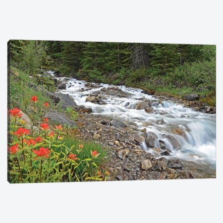 Paintbrush and Stream Canvas Print #BWF236} by Brian Wolf Canvas Artwork