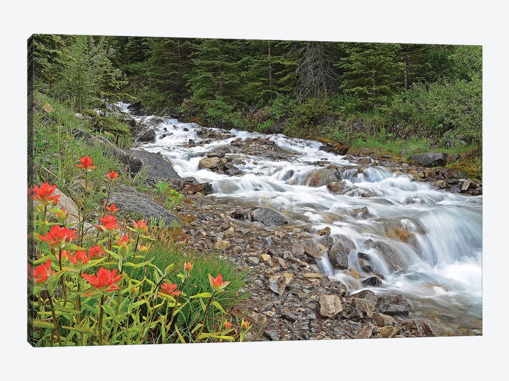 Paintbrush and Stream by Brian Wolf 1-piece Canvas Art Print