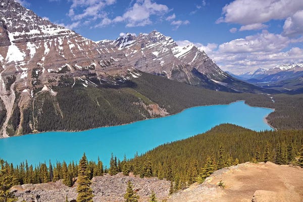 Banff National Park: Peyto Lake  by Brian Wolf