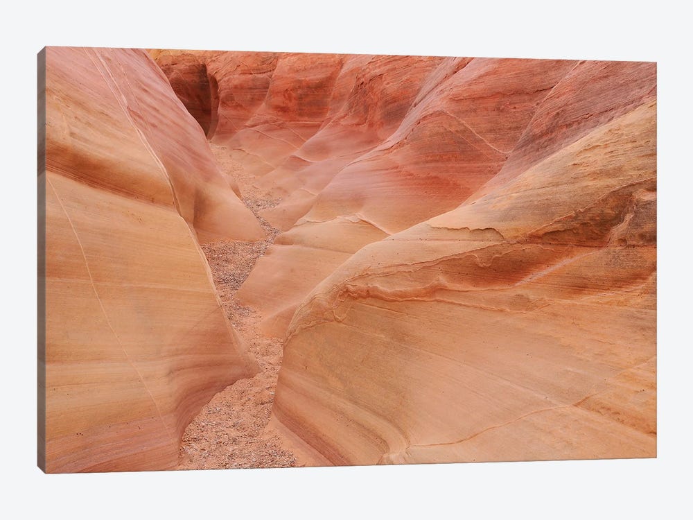 Pink Canyon by Brian Wolf 1-piece Art Print