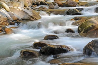 Rapids by Brian Wolf canvas print