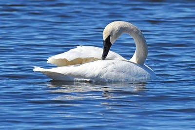 Rearranging by Brian Wolf metal wall art