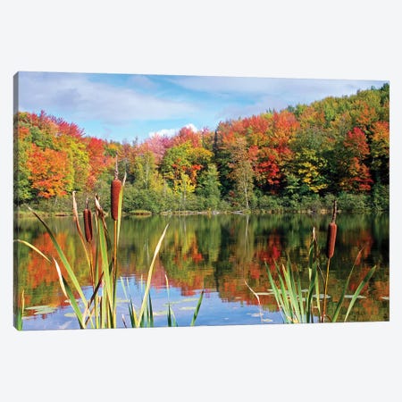 Autumn Lake Canvas Print #BWF25} by Brian Wolf Canvas Art
