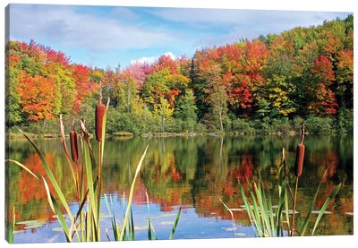 Autumn Lake Canvas Art Print - Brian Wolf