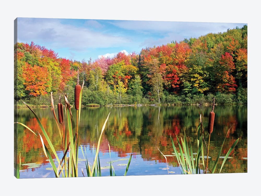 Autumn Lake by Brian Wolf 1-piece Canvas Print