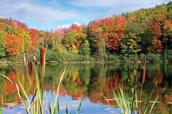 Brian Wolf: Autumn Lake by Brian Wolf