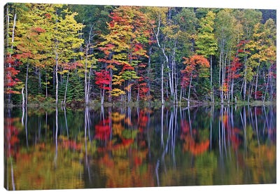Reflections on Council Lake Canvas Art Print - Brian Wolf