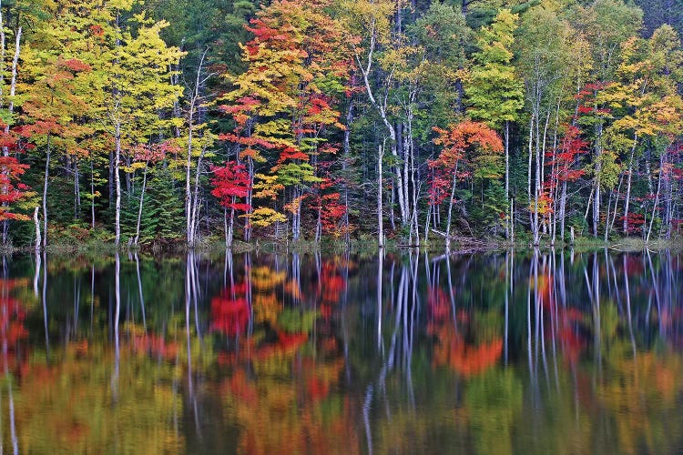 Reflections on Council Lake