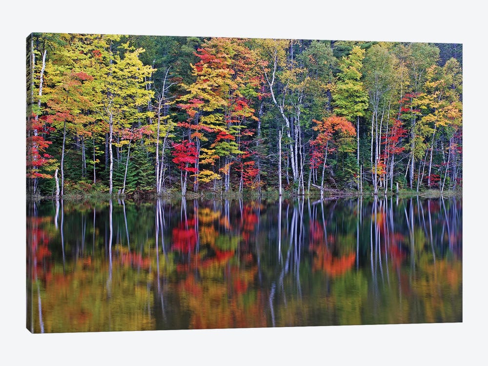 Reflections on Council Lake by Brian Wolf 1-piece Canvas Art