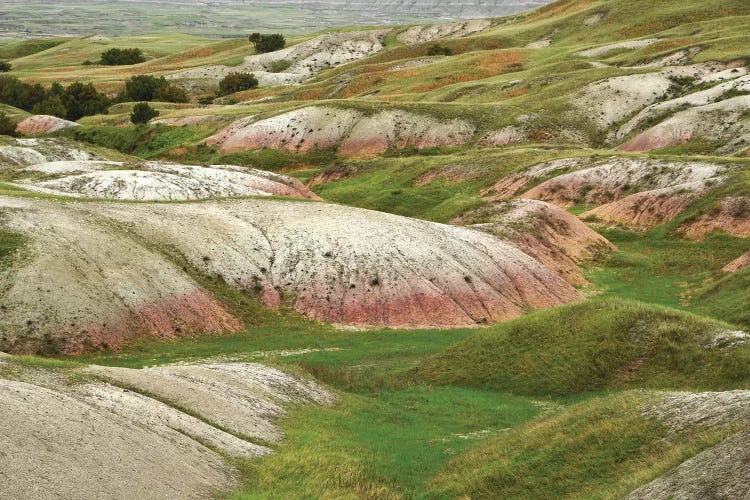 Sage Creek by Brian Wolf wall art