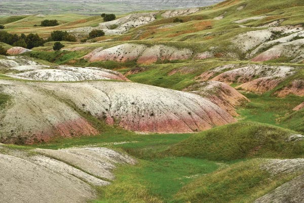 Manitoba: Sage Creek by Brian Wolf