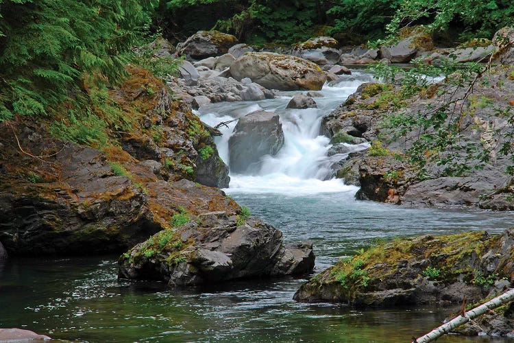 Salmon Cascades