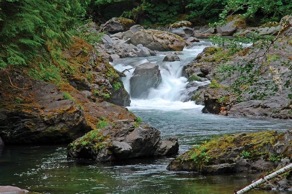 Brian Wolf: Salmon Cascades by Brian Wolf