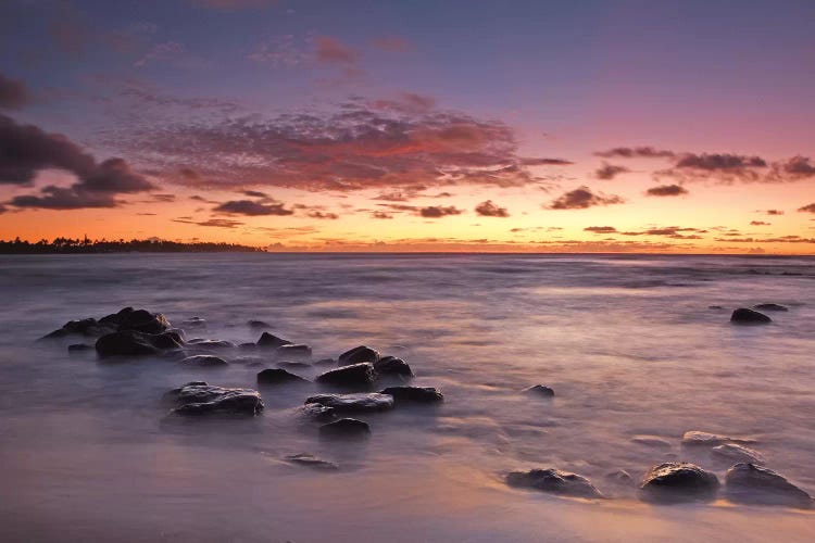 Salt Pond Sunset by Brian Wolf wall art