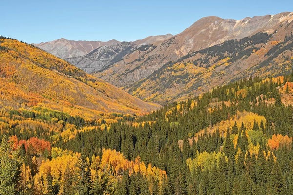 Puerto Rico: San Juan Mountains by Brian Wolf