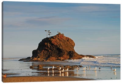 Sea Stack and Gulls Canvas Art Print - Beach Lover