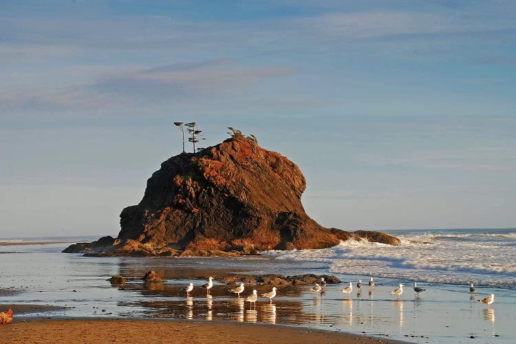 Sea Stack and Gulls