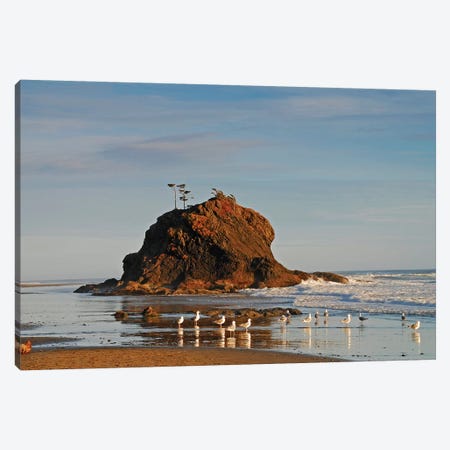 Sea Stack and Gulls Canvas Print #BWF278} by Brian Wolf Canvas Art Print