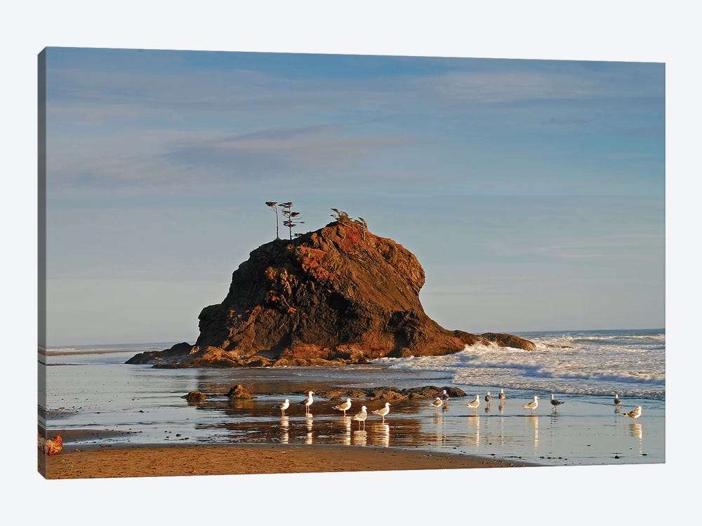 Sea Stack and Gulls by Brian Wolf 1-piece Canvas Art Print