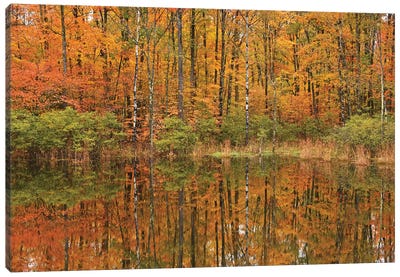 Autumn Pond Reflections Canvas Art Print - Pond Art