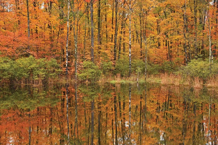 Autumn Pond Reflections