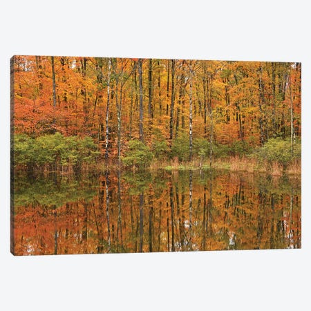 Autumn Pond Reflections Canvas Print #BWF27} by Brian Wolf Canvas Wall Art