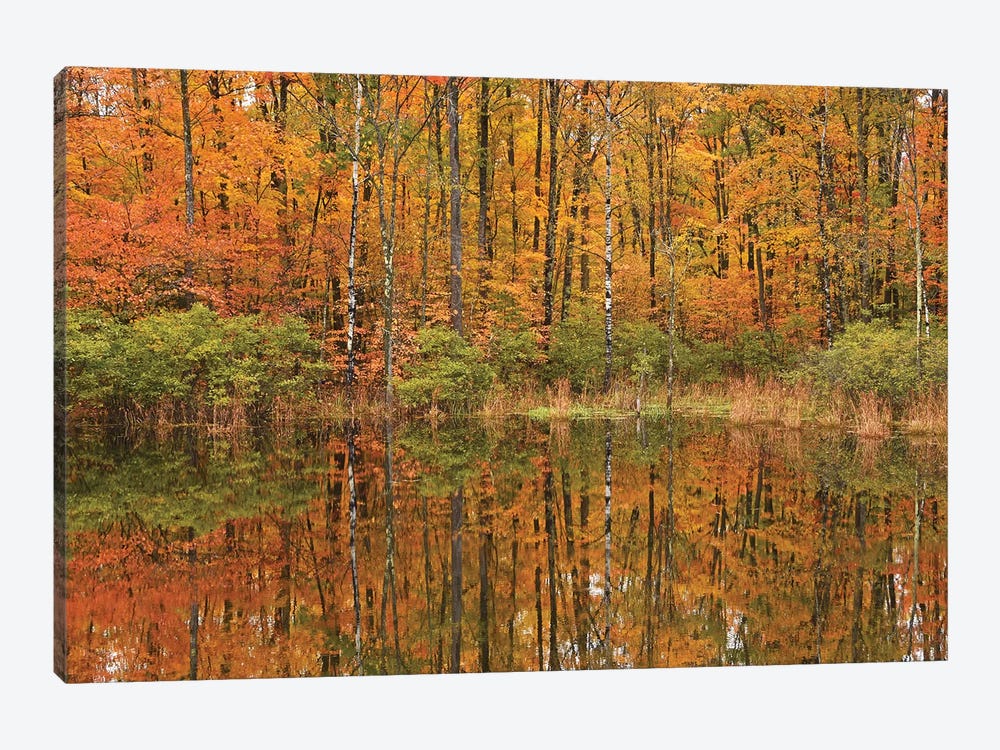 Autumn Pond Reflections by Brian Wolf 1-piece Canvas Art Print